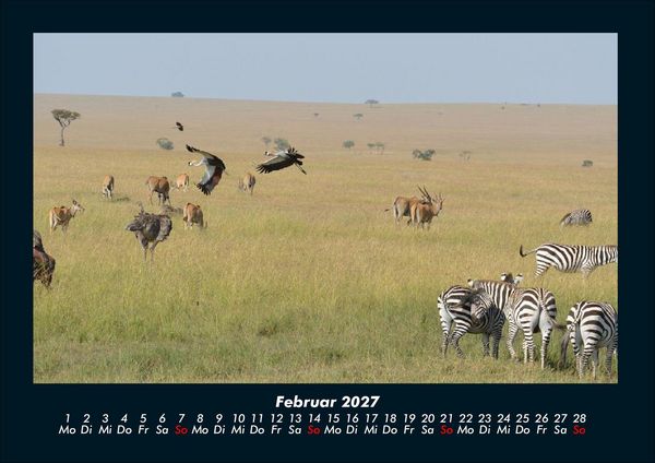 Produktbild: Der Tierkalender 2027 Fotokalender DIN A4