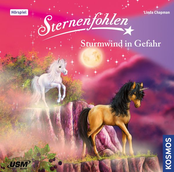 Sternenfohlen (Folge 15): Sturmwind in Gefahr - Linda Chapman, CD, 9783803231352