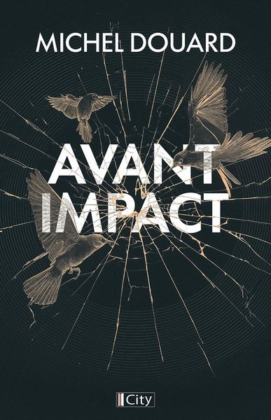 Produktbild: Avant l effondrement
