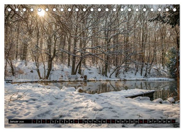 Produktbild: Wege des einfachen Gl&uuml;cks - Spazierg&auml;nge im Wald (Tischkalender 2026 DIN A5 quer), CALVENDO Monatskalender