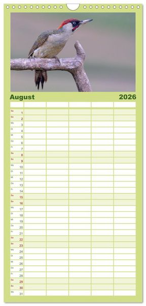 Produktbild: Familienplaner 2026 - Fantastische Vogelwelt Slowenien mit 5 Spalten (Wandkalender, 21 x 45 cm) CALVENDO