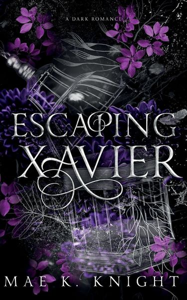 Produktbild: Escaping Xavier