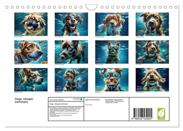 Produktbild: Dogs: intrepid swimmers (Wall Calendar 2026 DIN A4 landscape), CALVENDO 12 Month Wall Calendar