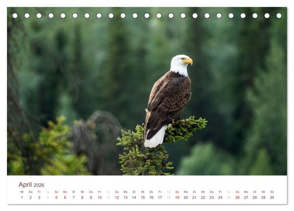 Produktbild: Der Alaska Kalender (Tischkalender 2026 DIN A5 quer), CALVENDO Monatskalender