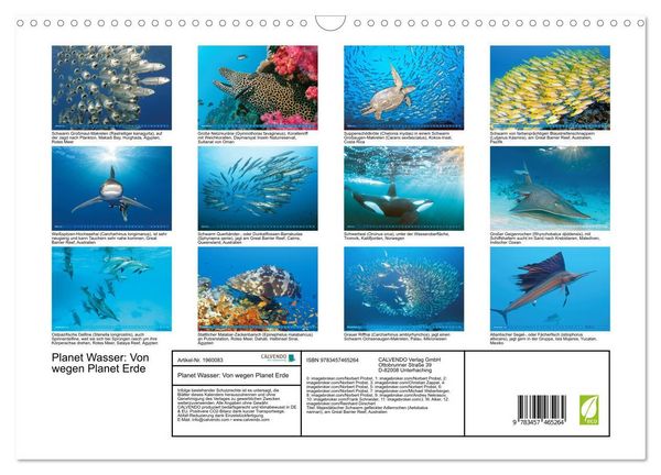 Produktbild: Planet Wasser: Von wegen Planet Erde (Wandkalender 2026 DIN A3 quer), CALVENDO Monatskalender