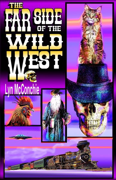 Produktbild: The Far Side of the Wild West