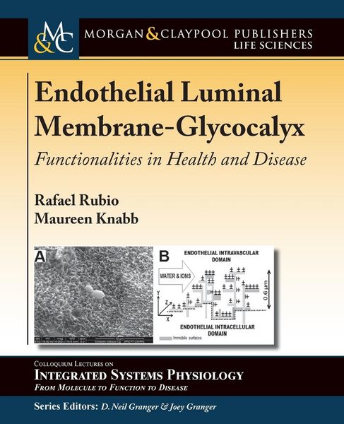 Produktbild: Endothelial Luminal Membrane-Glycocalyx