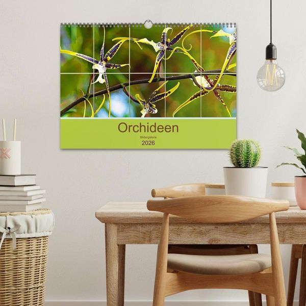 Produktbild: Orchideen Bildergalerie (Wandkalender 2026 DIN A3 quer), CALVENDO Monatskalender