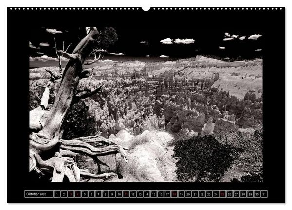 Produktbild: USA - 4000 Meilen S&uuml;dwest Hommage an die gro&szlig;en SW-Fotografen Amerikas (hochwertiger Premium Wandkalender 2026 DIN A2 quer), Kunstdruck in Hochglanz