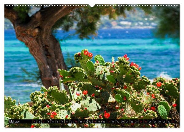 Produktbild: MALLORCA zum VERLIEBEN (Wandkalender 2026 DIN A2 quer), CALVENDO Monatskalender