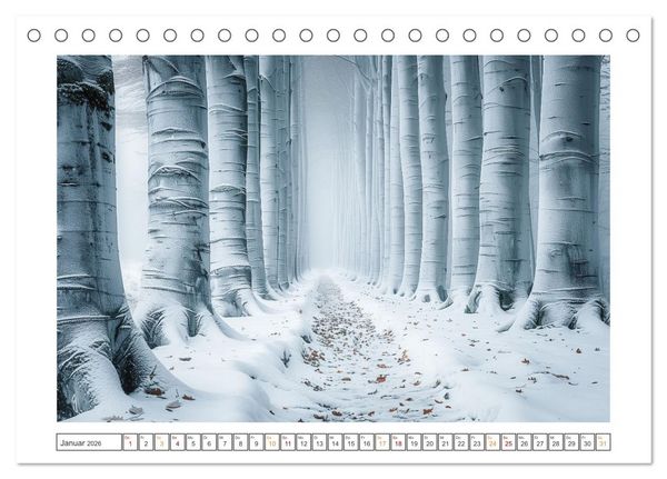 Produktbild: Mystische Wege (Tischkalender 2026 DIN A5 quer), CALVENDO Monatskalender