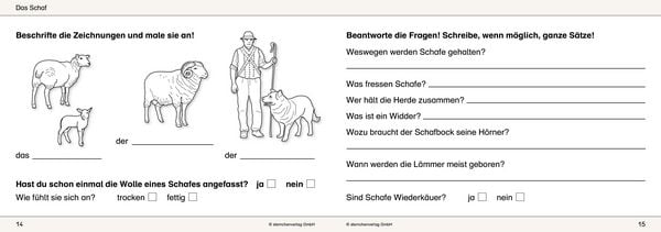 Produktbild: Ich kenne Waldtiere / Haus- und Hoftiere / Insekten und Spinnen. 3 Schülerarbeitshefte im Kombi für die 2. bis 4. Klasse