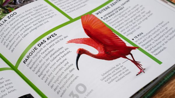Exklusive Einblicke! Zoo