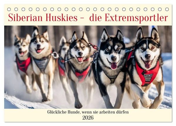 Produktbild: Siberian Huskies - die Extremsportler (Tischkalender 2026 DIN A5 quer), CALVENDO Monatskalender
