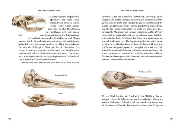 Produktbild: Das gro&szlig;e Buch der Evolution