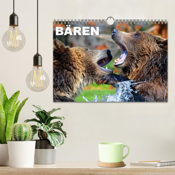 Produktbild: B&auml;ren (Wandkalender 2026 DIN A4 quer), CALVENDO Monatskalender