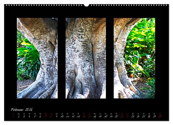 Produktbild: Die Kunst der Natur - Dreifach Stilvoll (hochwertiger Premium Wandkalender 2026 DIN A2 quer), Kunstdruck in Hochglanz