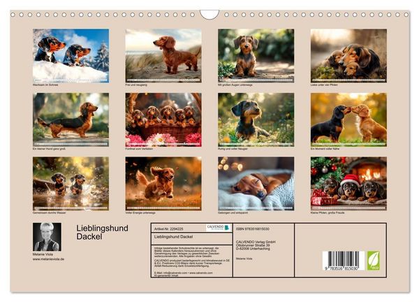Produktbild: Lieblingshund Dackel (Wandkalender 2027 DIN A3 quer), CALVENDO Monatskalender