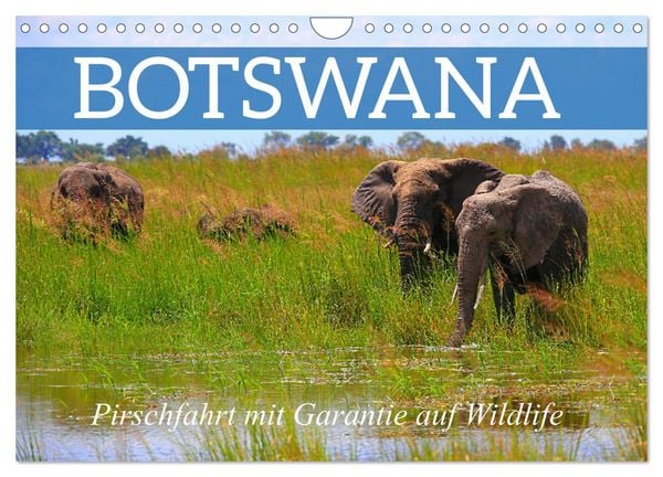 Produktbild: Botswana- Pirschfahrt mit Garantie auf Wildlife (Wandkalender 2026 DIN A4 quer), CALVENDO Monatskalender