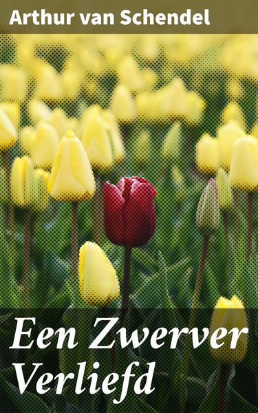 Produktbild: Een Zwerver Verliefd