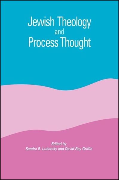 Produktbild: Jewish Theology and Process Thought