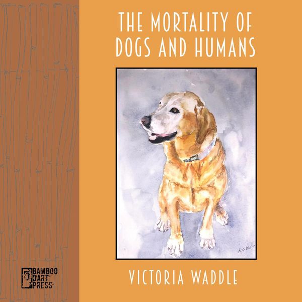 Produktbild: The Mortality of Dogs and Humans