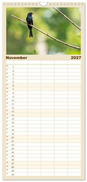 Produktbild: Familienplaner 2027 - Zwischen Nebel und Baumriesen - V&ouml;gel Borneos mit 5 Spalten (Wandkalender, 21 x 45 cm) CALVENDO