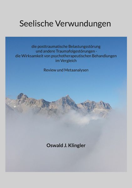 Produktbild: Seelische Verwundungen: die posttraumatische Belastungsst&ouml;rung und andere Traumafolgest&ouml;rungen - die Wirksamkeit psychotherapeutischer Methoden im Ver