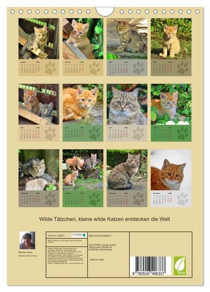 Produktbild: Wilde T&auml;tzchen, kleine wilde Katzen entdecken die Welt (Wandkalender 2026 DIN A4 hoch), CALVENDO Monatskalender