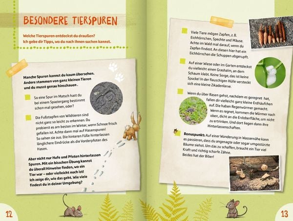 Produktbild: 50 Naturgeheimnisse und Outdoorabenteuer