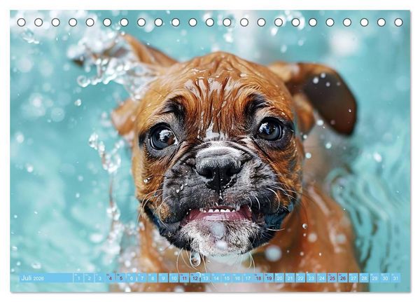 Produktbild: Hunde und Wasser (Tischkalender 2026 DIN A5 quer), CALVENDO Monatskalender