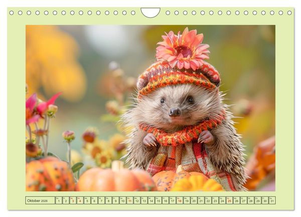 Produktbild: Zauberhafte Igel-Models. Blumiger Stil in der Natur (Wandkalender 2026 DIN A4 quer), CALVENDO Monatskalender
