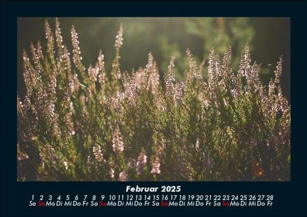 Produktbild: Blumentr&auml;ume 2025 Fotokalender DIN A5