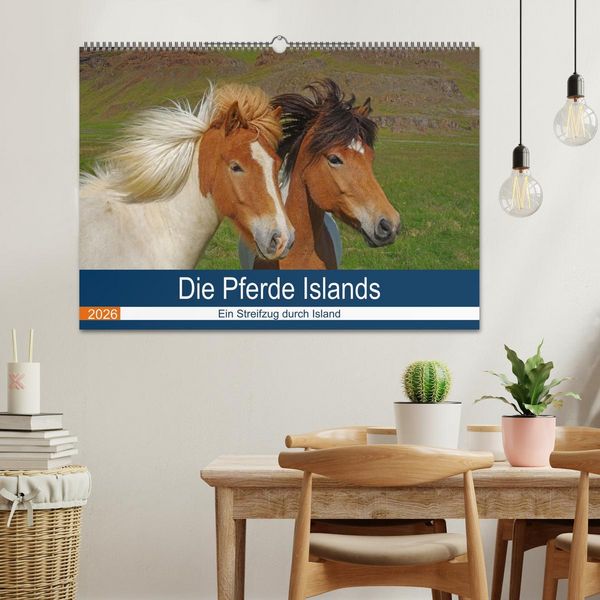 Produktbild: Die Pferde Islands - Ein Streifzug durch Island (Wandkalender 2026 DIN A2 quer), CALVENDO Monatskalender