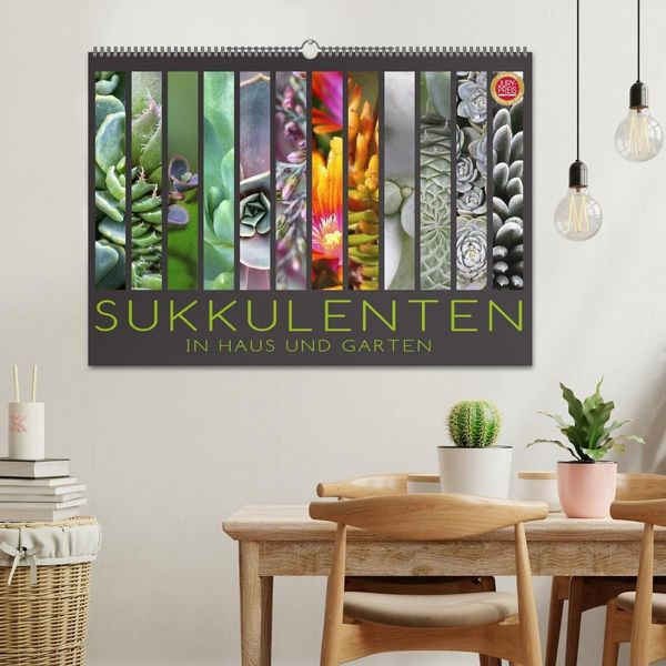 Produktbild: Sukkulenten in Haus und Garten (Wandkalender 2027 DIN A2 quer), CALVENDO Monatskalender