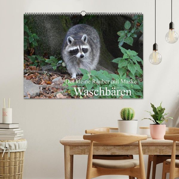 Produktbild: Der kleine R&auml;uber mit Maske - Waschb&auml;ren (Wandkalender 2026 DIN A2 quer), CALVENDO Monatskalender
