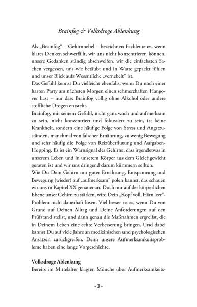 Produktbild: Kopf voll, Hirn leer