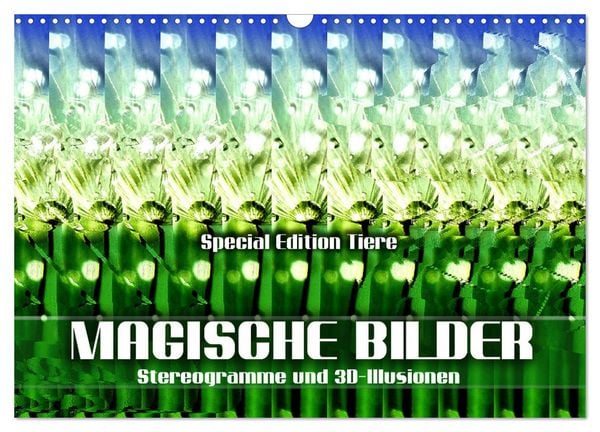 Magische Bilder - Stereogramme und 3D-Illusionen (Wandkalender 2026 DIN A3 quer), CALVENDO Monatskalender