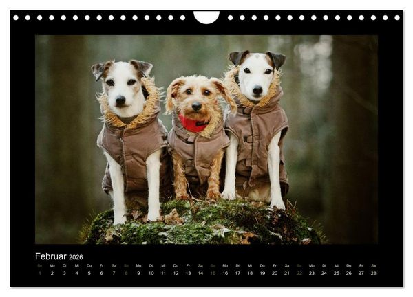 Produktbild: Die Parsons (Wandkalender 2026 DIN A4 quer), CALVENDO Monatskalender