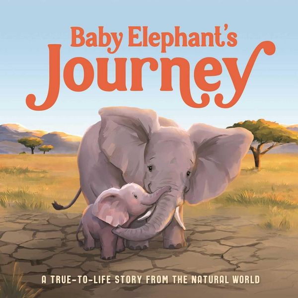 Produktbild: Baby Elephant's Journey