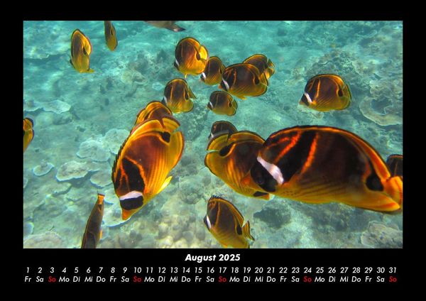 Produktbild: Meereslandschaft 2025 Fotokalender DIN A3
