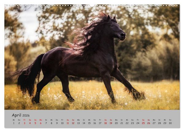 Produktbild: Spiegel deiner Seele (hochwertiger Premium Wandkalender 2026 DIN A2 quer), Kunstdruck in Hochglanz