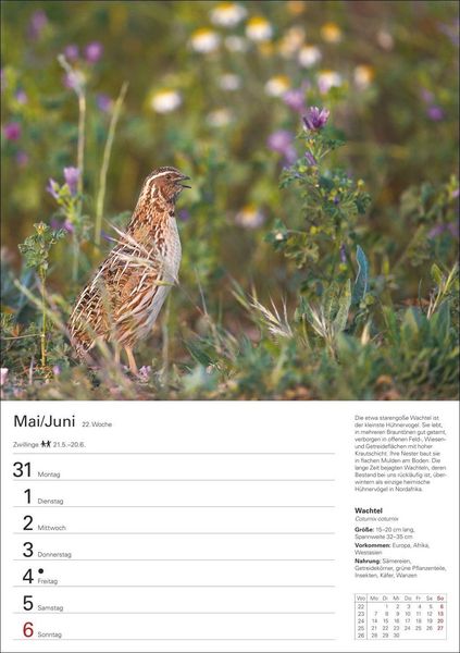 Produktbild: Heimische V&ouml;gel Wochenplaner 2027 - 53 faszinierende Fotografien