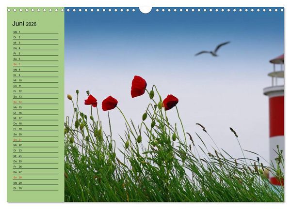 Produktbild: Mohnblumen Tr&auml;ume (Wandkalender 2026 DIN A3 quer), CALVENDO Monatskalender