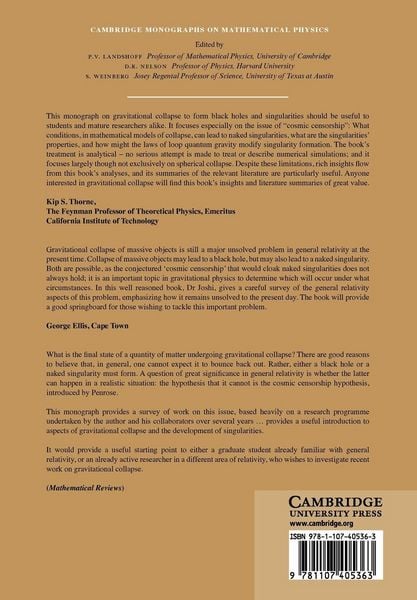 Produktbild: Gravitational Collapse and Spacetime Singularities