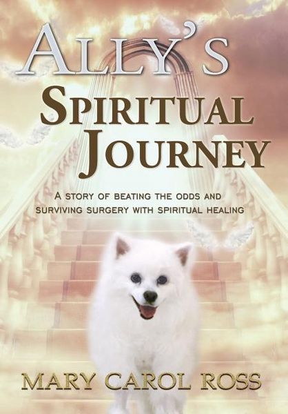 Produktbild: Ally's Spiritual Journey