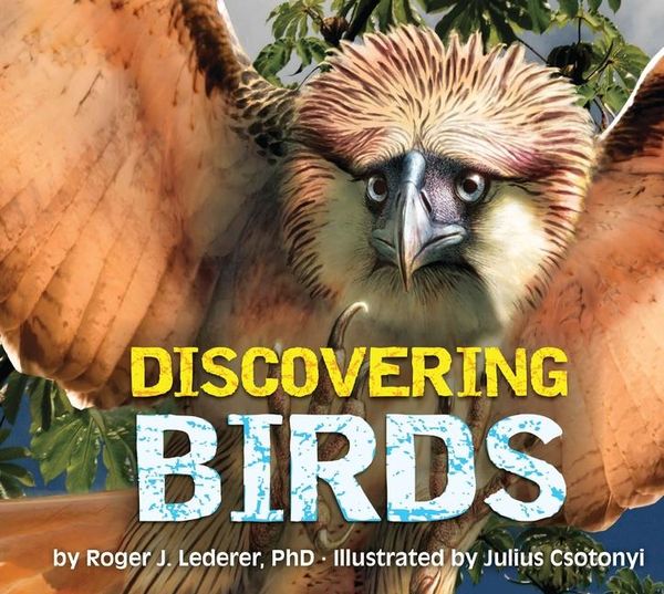 Produktbild: Discovering Birds