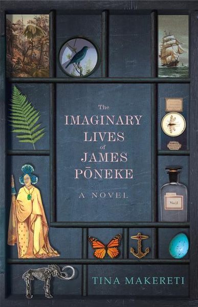 Produktbild: The Imaginary Lives of James Poneke
