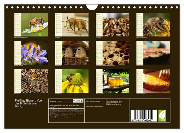 Produktbild: Flei&szlig;ige Bienen. Von der Bl&uuml;te bis zum Honig (Wandkalender 2026 DIN A4 quer), CALVENDO Monatskalender