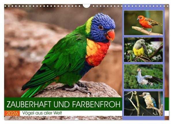 Produktbild: Zauberhaft und farbenfroh (Wandkalender 2026 DIN A3 quer), CALVENDO Monatskalender